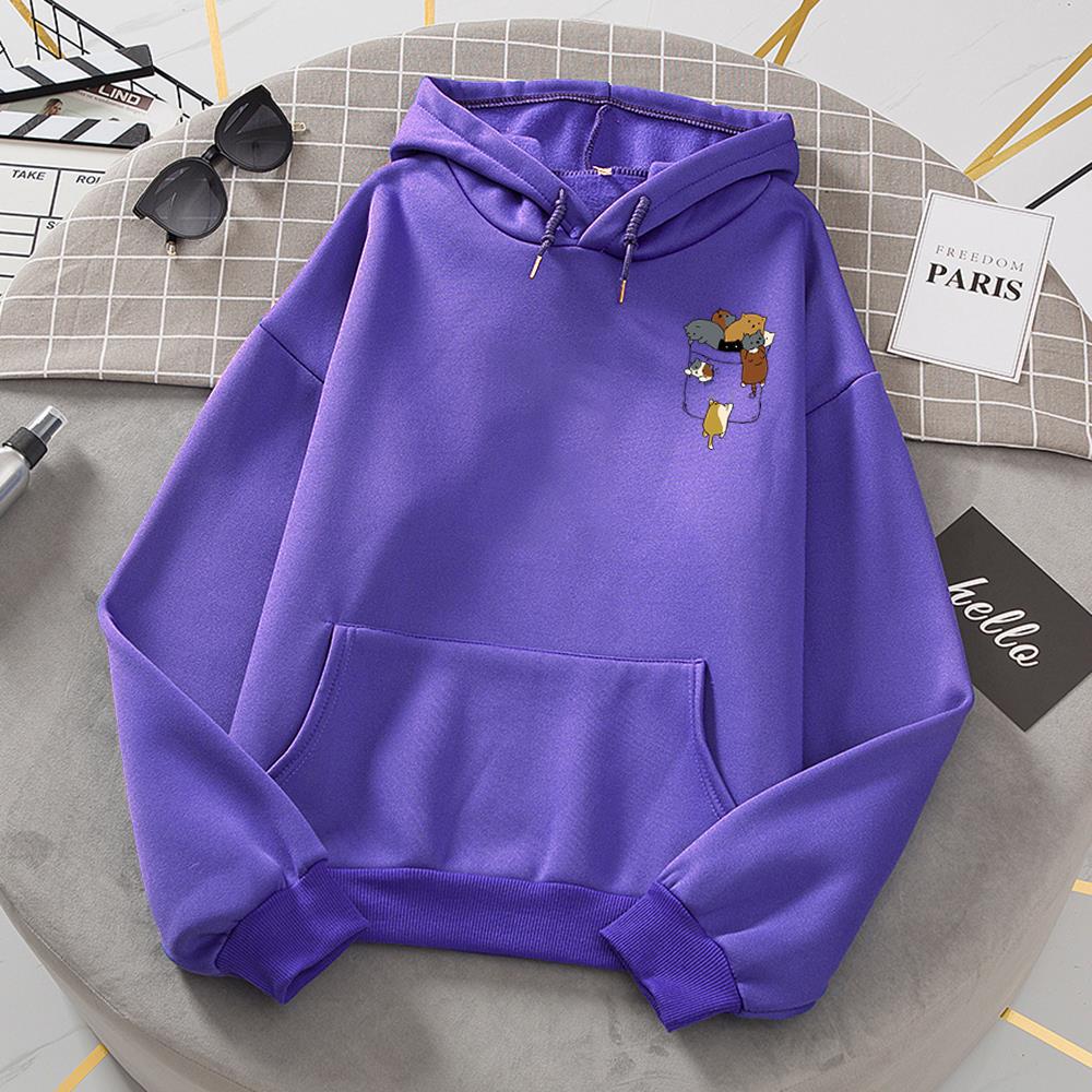 EP | Pull à la mode et minimaliste
