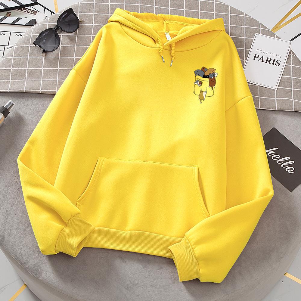 EP | Pull à la mode et minimaliste