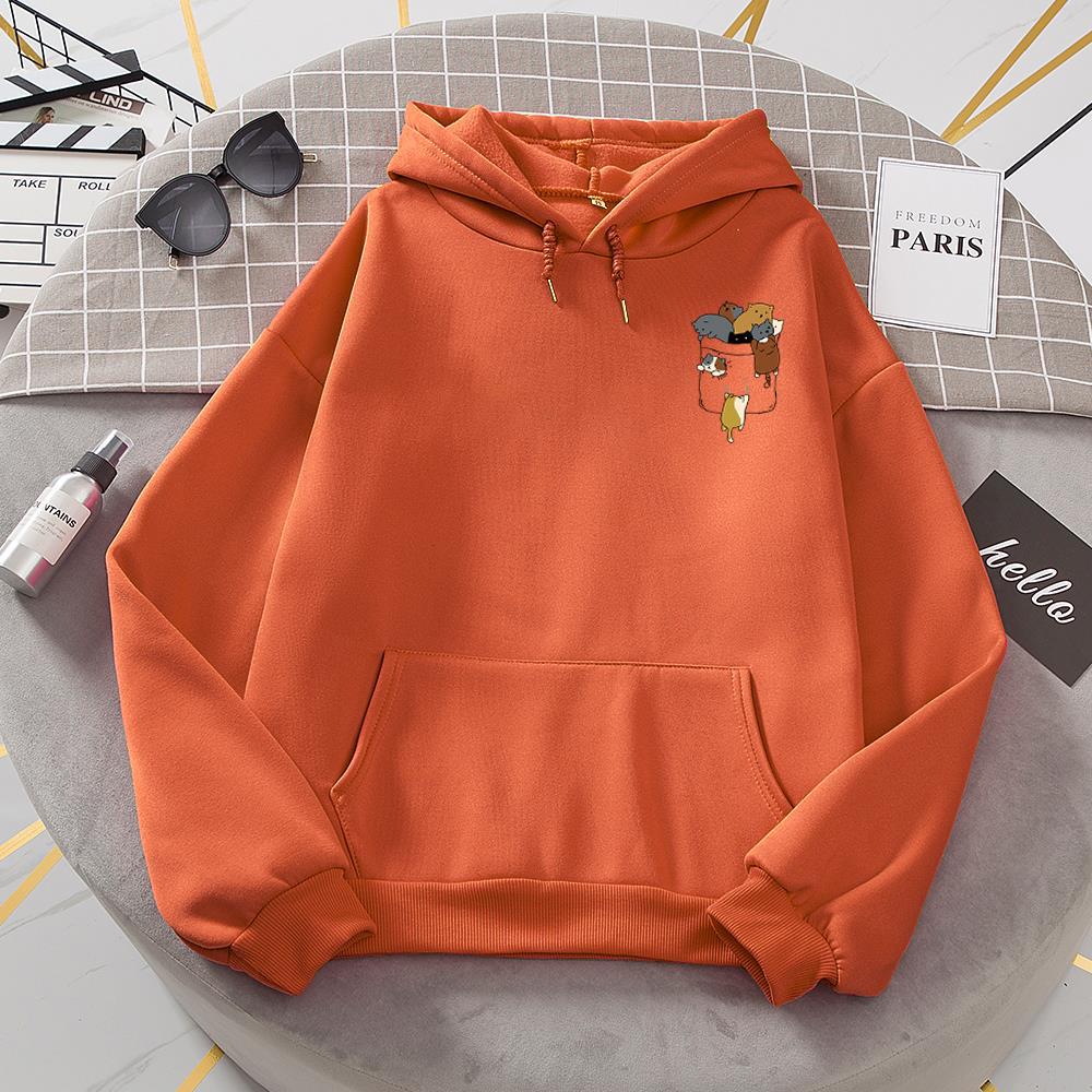 EP | Pull à la mode et minimaliste