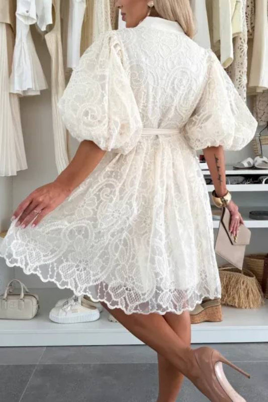 EP | Romantique été broderie dentelle manches bouffantes bouton cravate mini robe